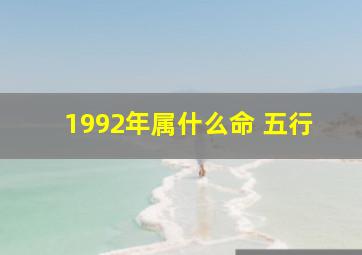 1992年属什么命 五行